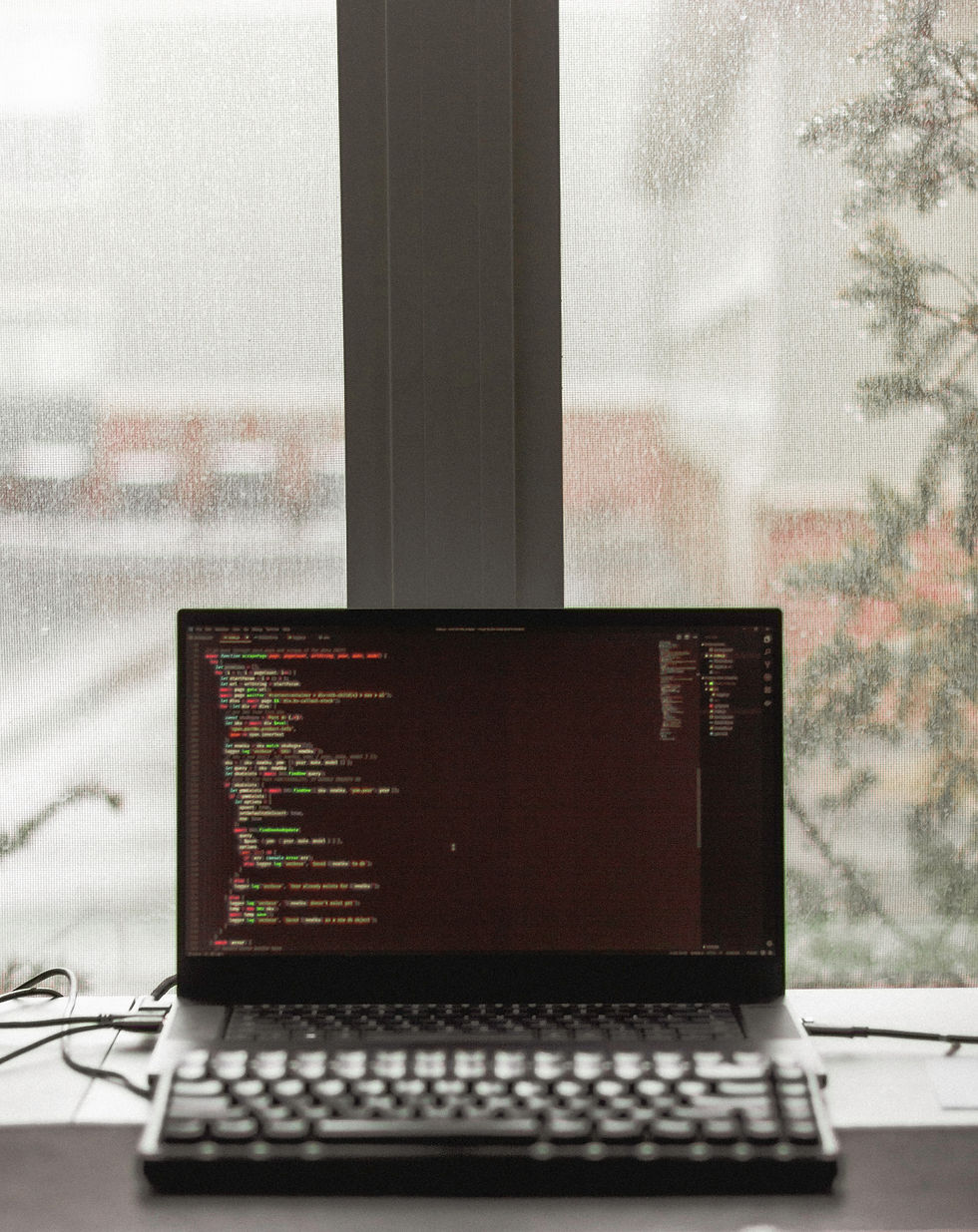 Image by Tracy Adams