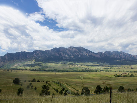 How Weather Conditions Affect the Health of Your Trees in Boulder