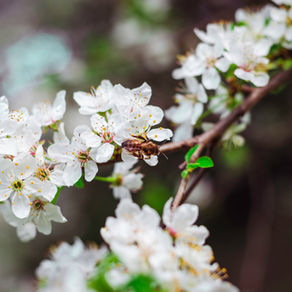 Was könnte ich weglassen?