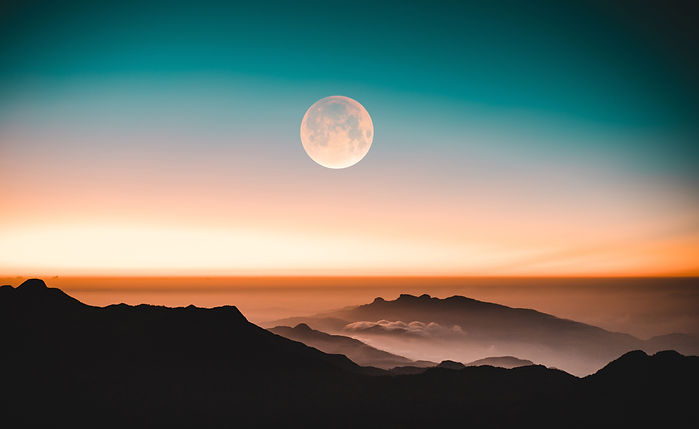 Image by malith d karunarathne