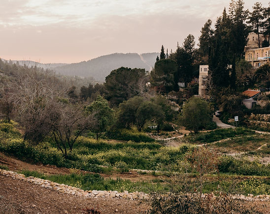 Image by Laura Siegal