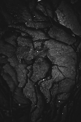 Image by Brian Patrick Tagalog