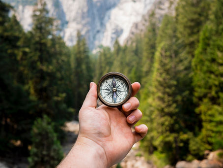 During confinement: What are you learning from it?