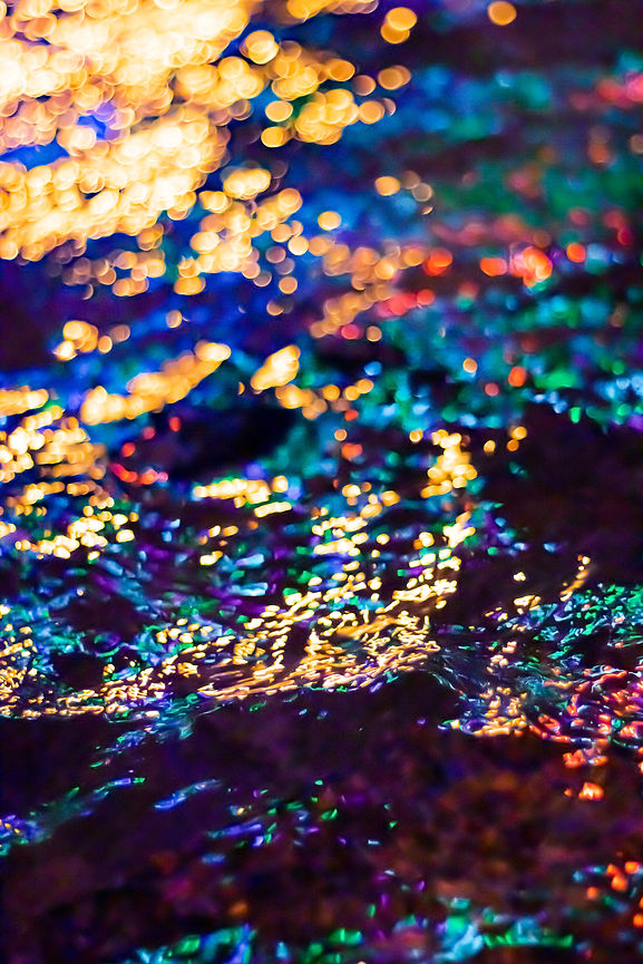 Image by Mahdi Soheili