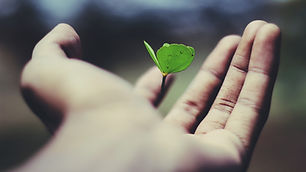 Self Growth Image by Ravi Roshan