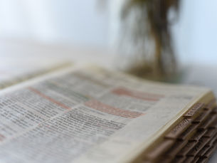 The Ford Brothers: Their Legacy in Bible Collecting