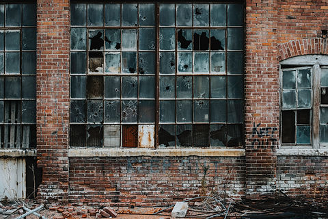 Image by Tara Evans