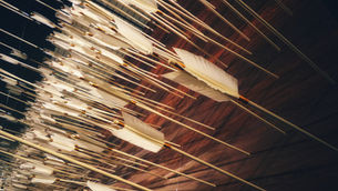 Targeting Your Google Adwords