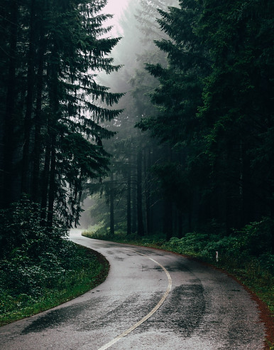Image by Filip Zrnzević