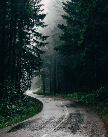 Image by Filip Zrnzević