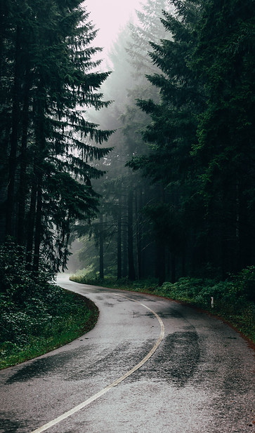 Image by Filip Zrnzević