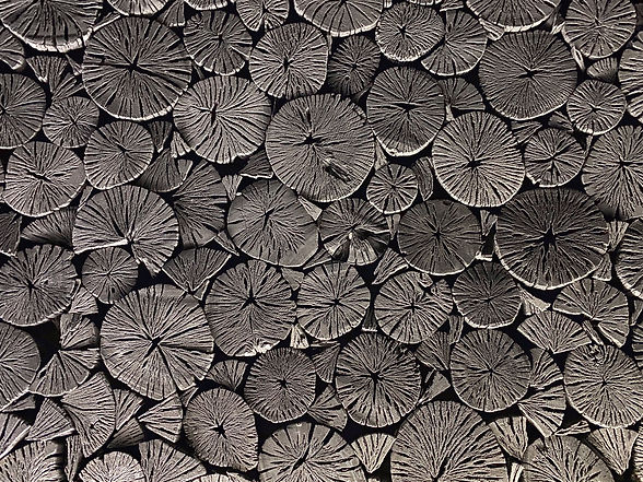 Image by Sung Jin Cho