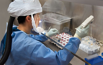 Image by CDC
