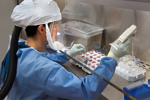 Image by CDC