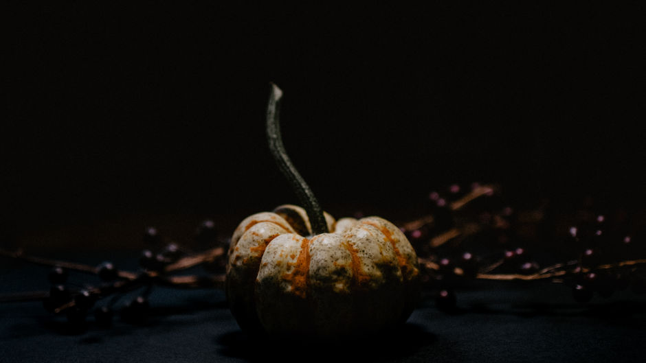 Pumpkin Spice (Bal Babağı Baharatı)
