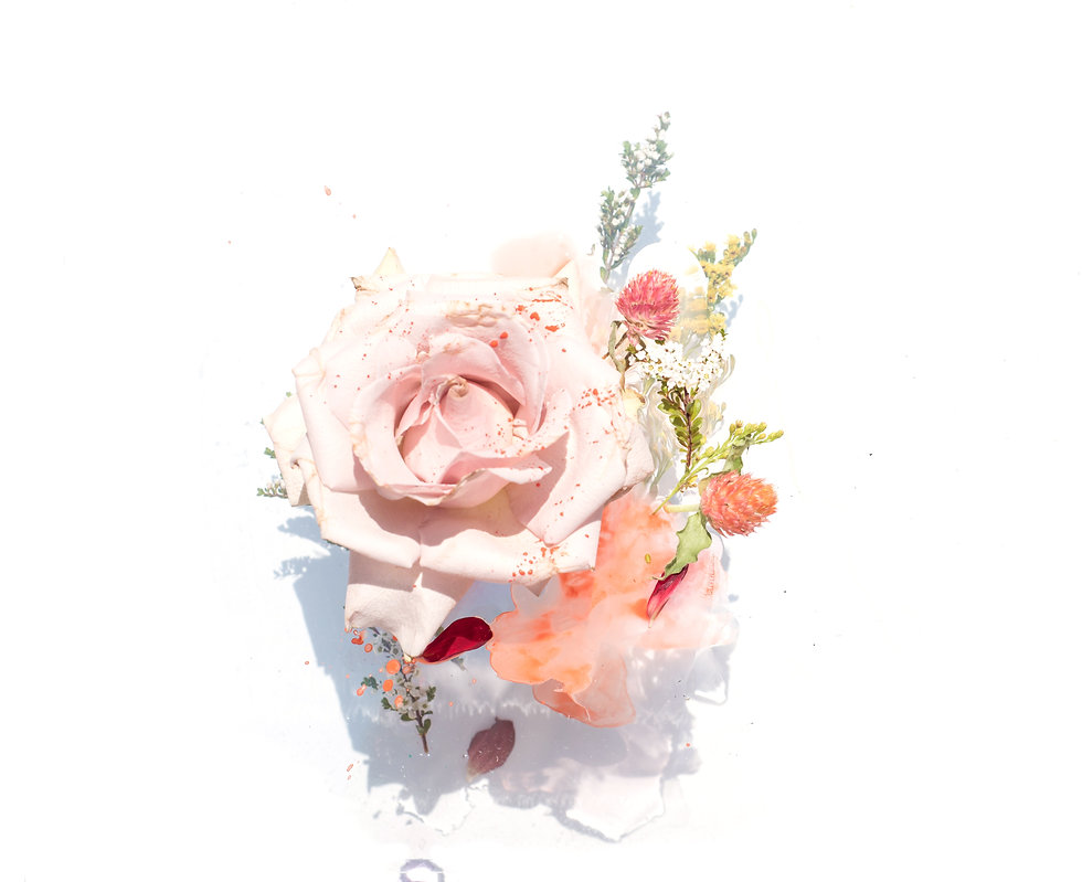 Image by Evie S.