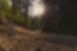 Image by Ã…aker