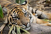 Image by Tarryn Myburgh