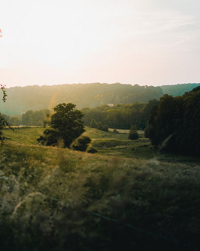 landscapes