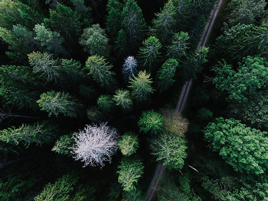 Image by Geran de Klerk
