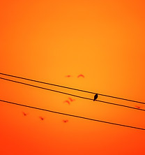 Image by Mitul Grover