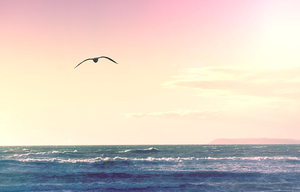 Image by Matthew Fournier