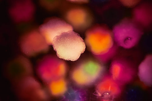 Image by Landon Arnold