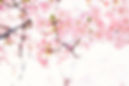 Image by Masaaki Komori