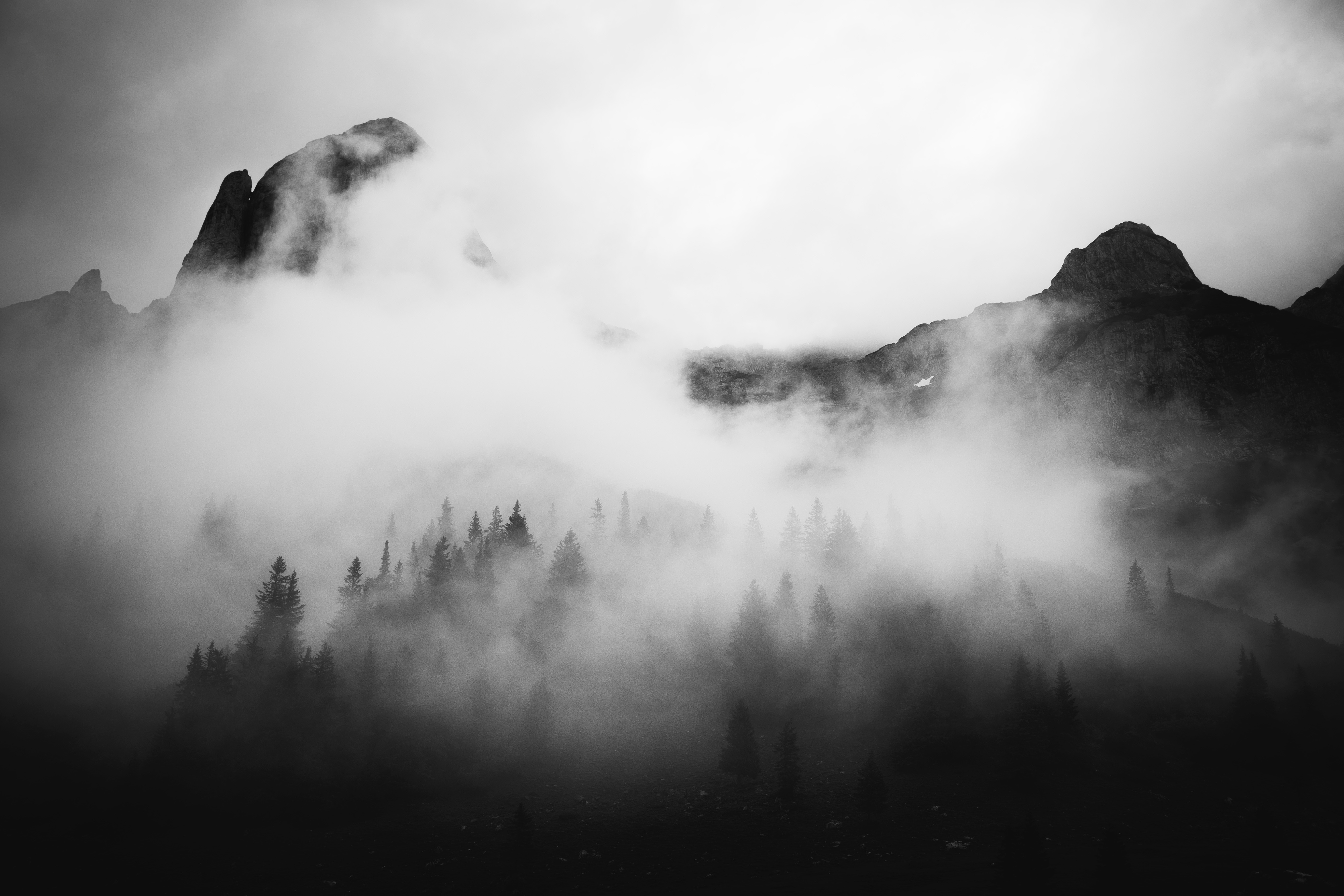Image by Fabian Irsara
