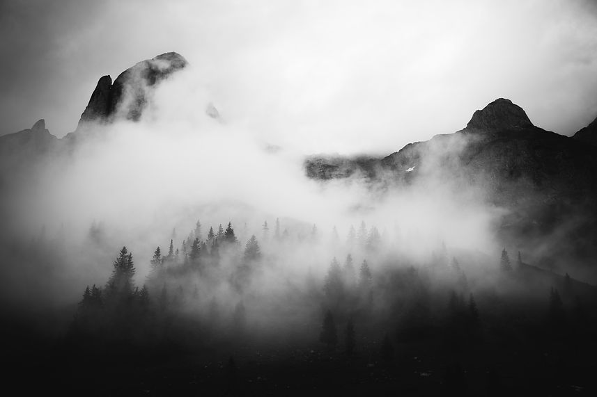 Image by Fabian Irsara