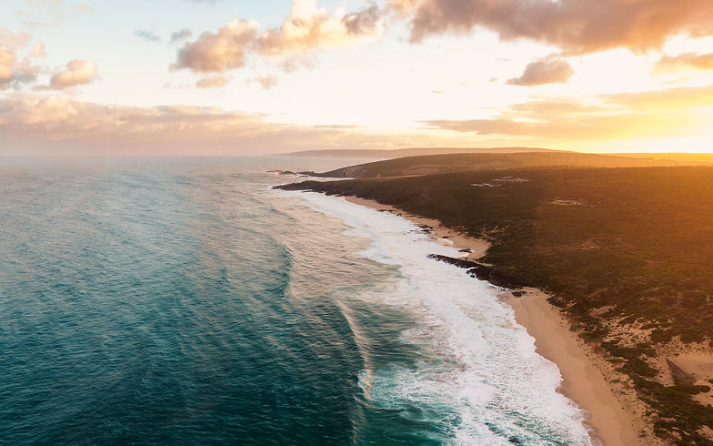 Image by Tristan McKenzie