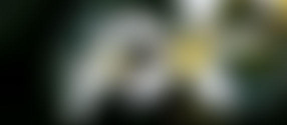 In 2 hours