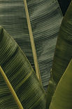 Image by nrd