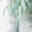 Image by Thirteen .J