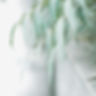 Image by Thirteen .J