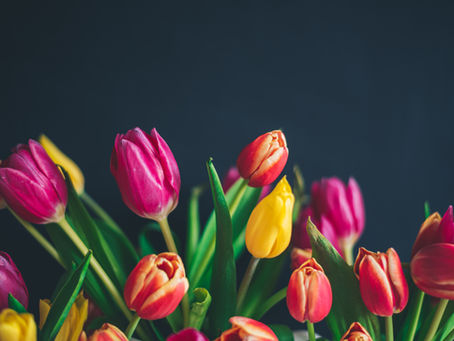 🌿 Spring Into Comfort: Save Big on HVAC, Plumbing & Bathroom Upgrades in South Jersey