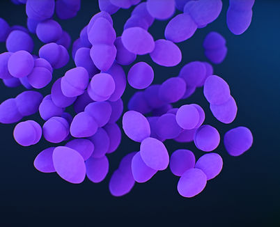Image by CDC
