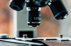 Image by Yassine Khalfalli