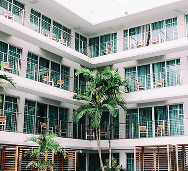 Image by Francesca Saraco