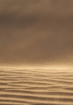 Image by Wolfgang Hasselmann