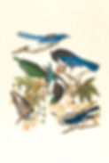 Image by Boston Public Library