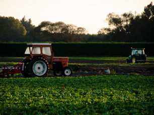 Embrapa quer reduzir em 25% a importação de fertilizantes
