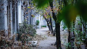 Image by Diego MarÃn