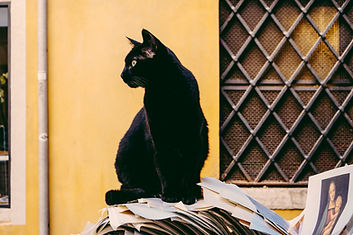 Image by Nathan Riley