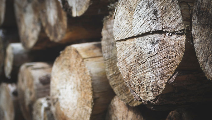 Sawmill