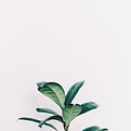 Image by Nikita Kachanovsky
