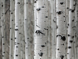 Image by Patrick Hendry