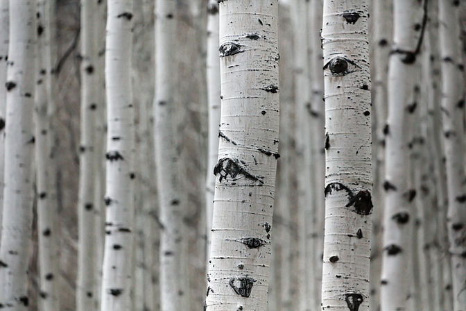 Image by Patrick Hendry