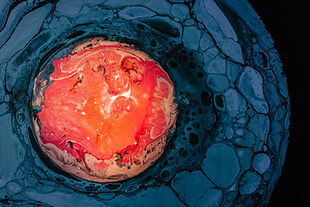 Image by Pawel Czerwinski