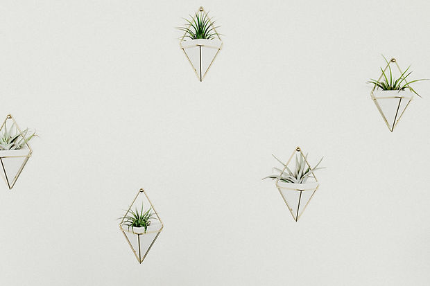 Image by Liana Mikah